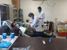 اهدای خون پرسنل شبکه بهداشت و درمان شهرستان زهک